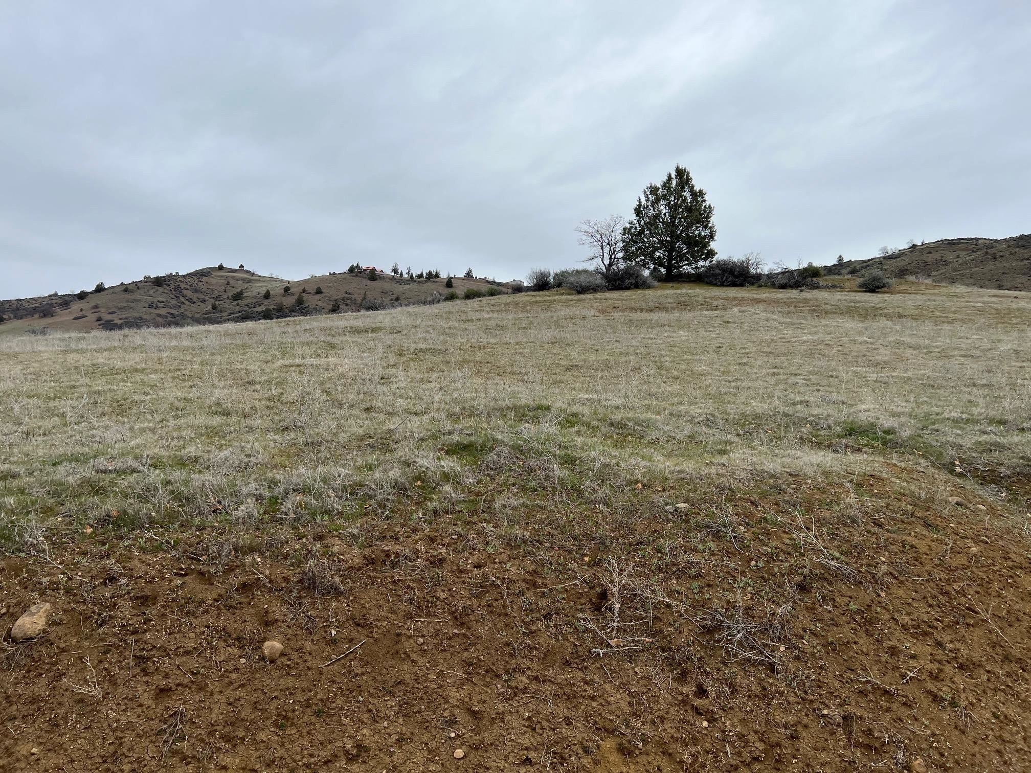 Land with Views and Amenities