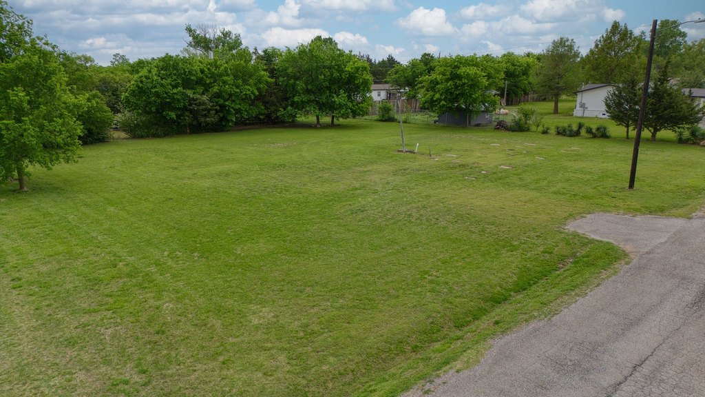 Picture 11