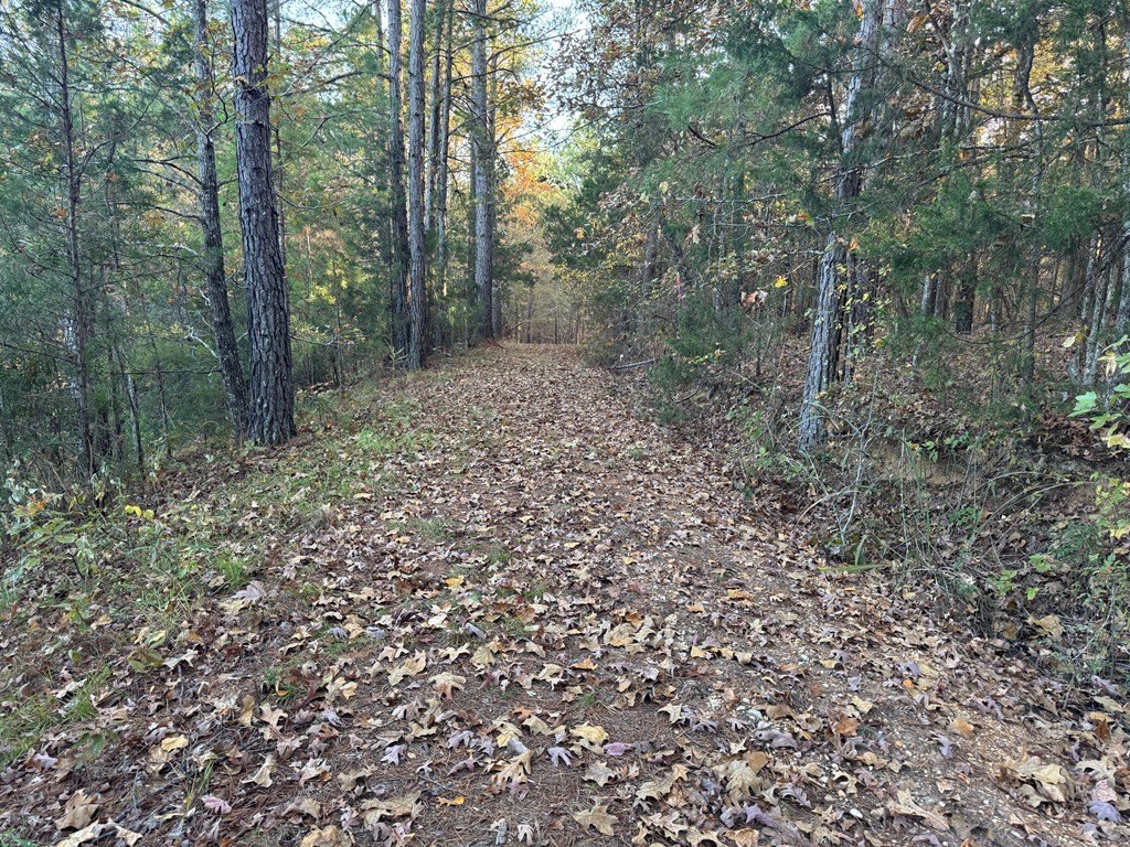 Picture 23