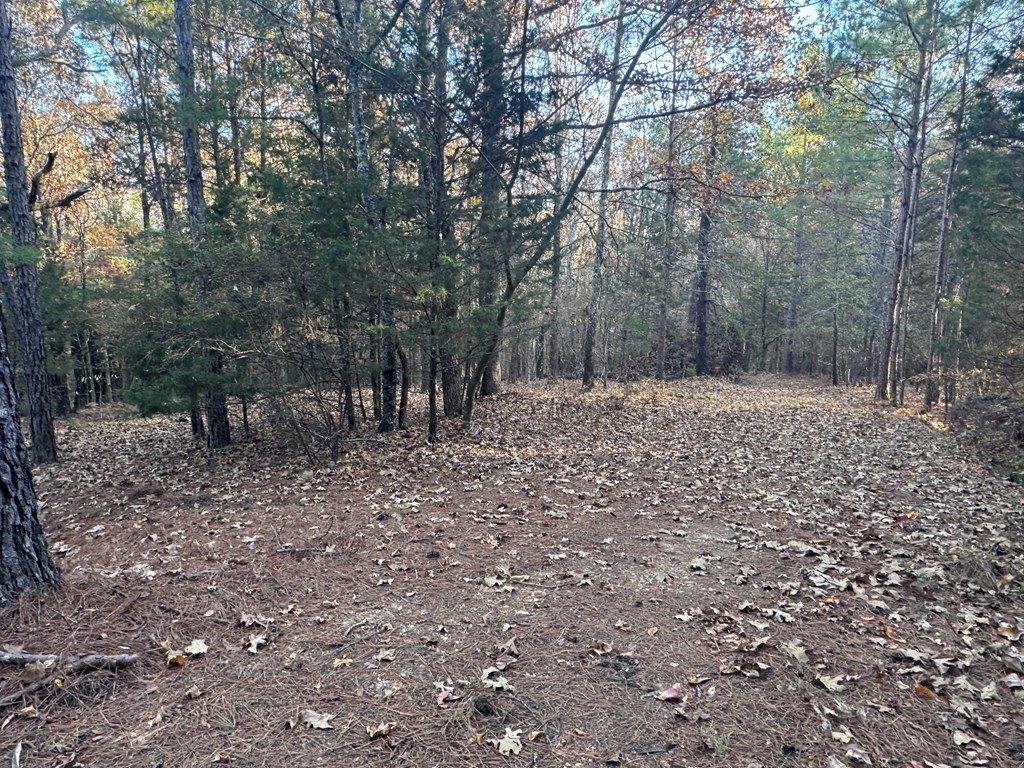 Picture 2