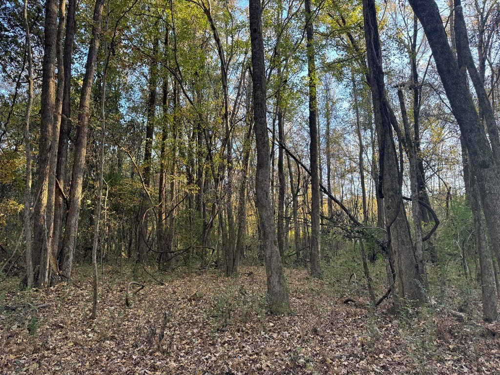 Picture 14
