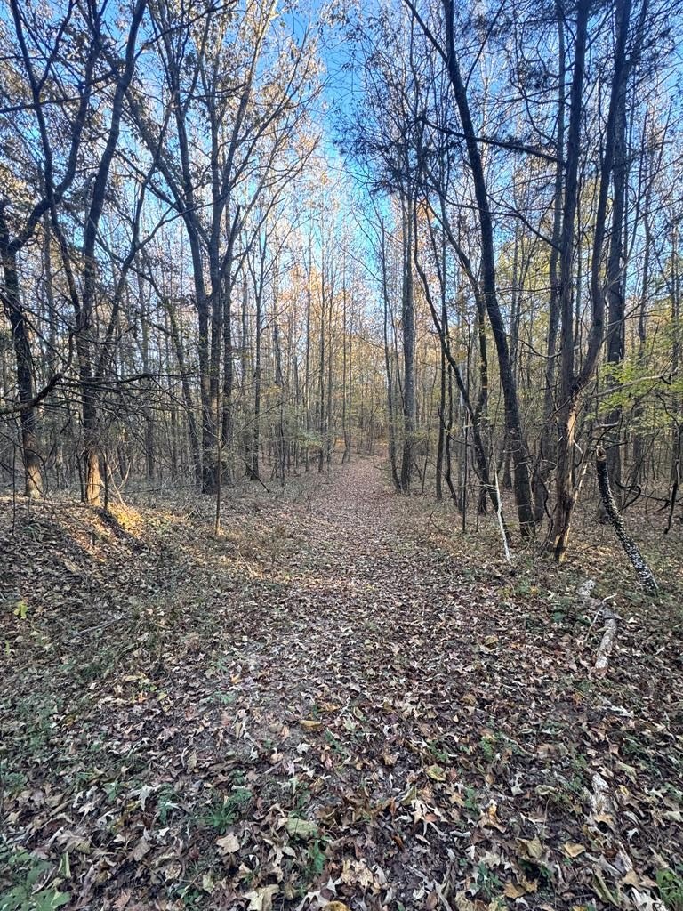 30 Acres in Oxford, MS