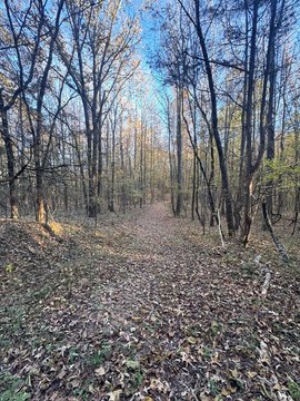 30 Acres in Oxford, MS