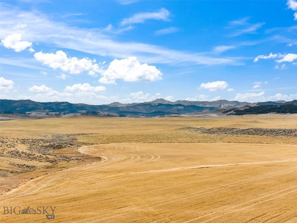 Picture 44