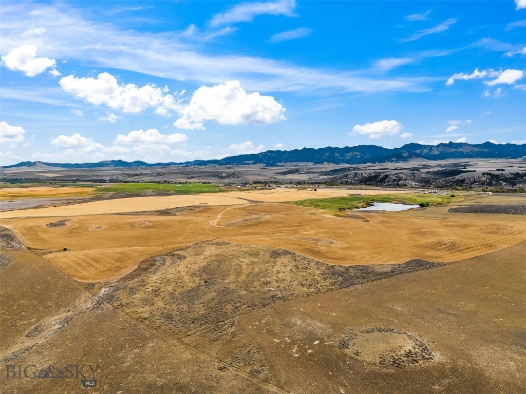 Picture 33