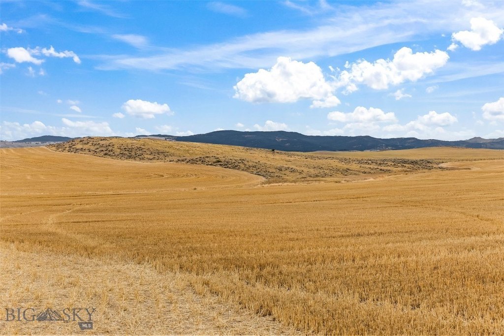 Picture 24