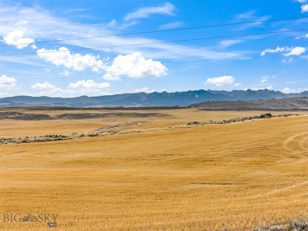 Picture 42