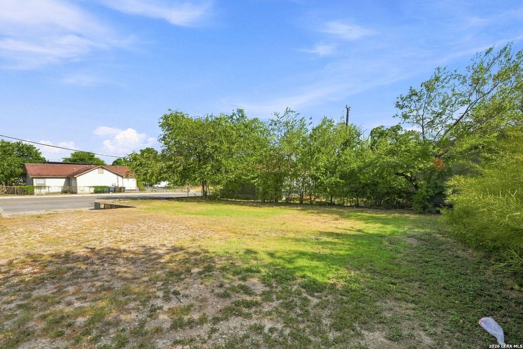 Picture 6