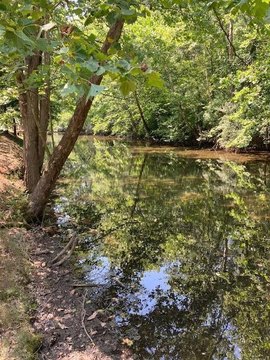 Land with St. Joe River Access