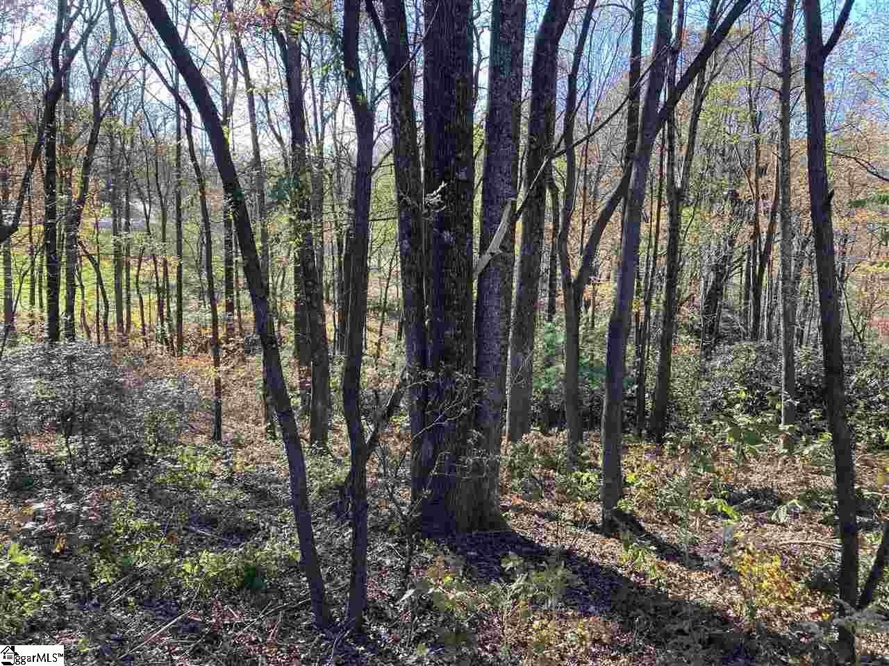 Landrum Golf Course View Property