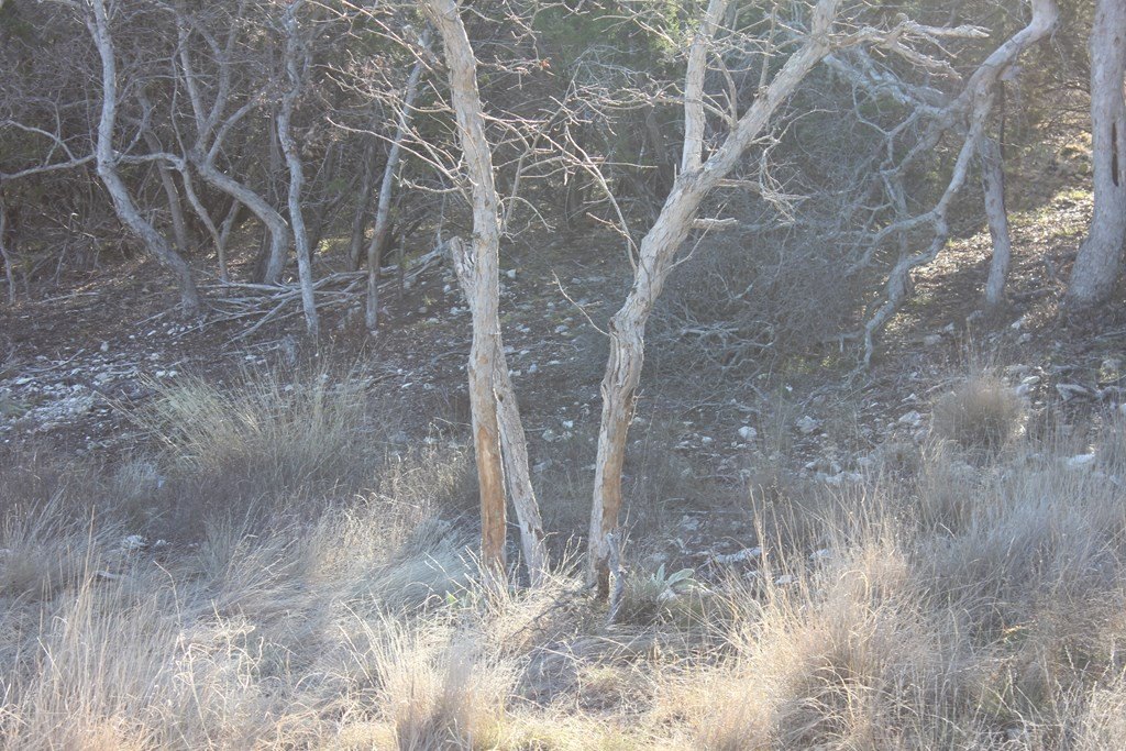Picture 14