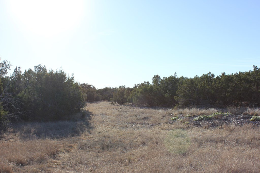 Picture 3