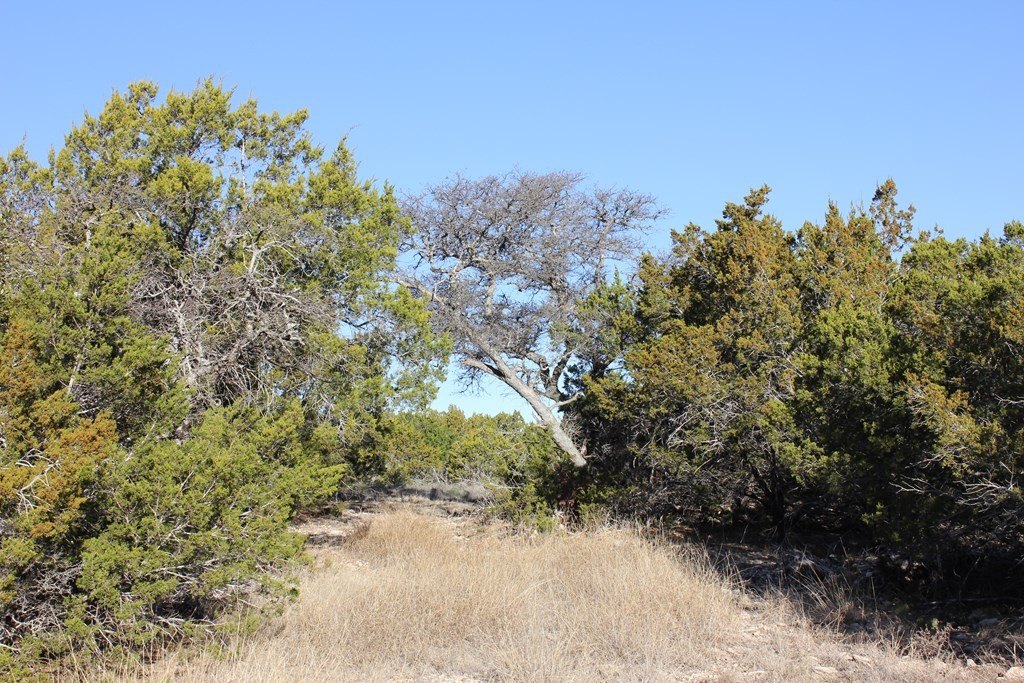 Picture 6