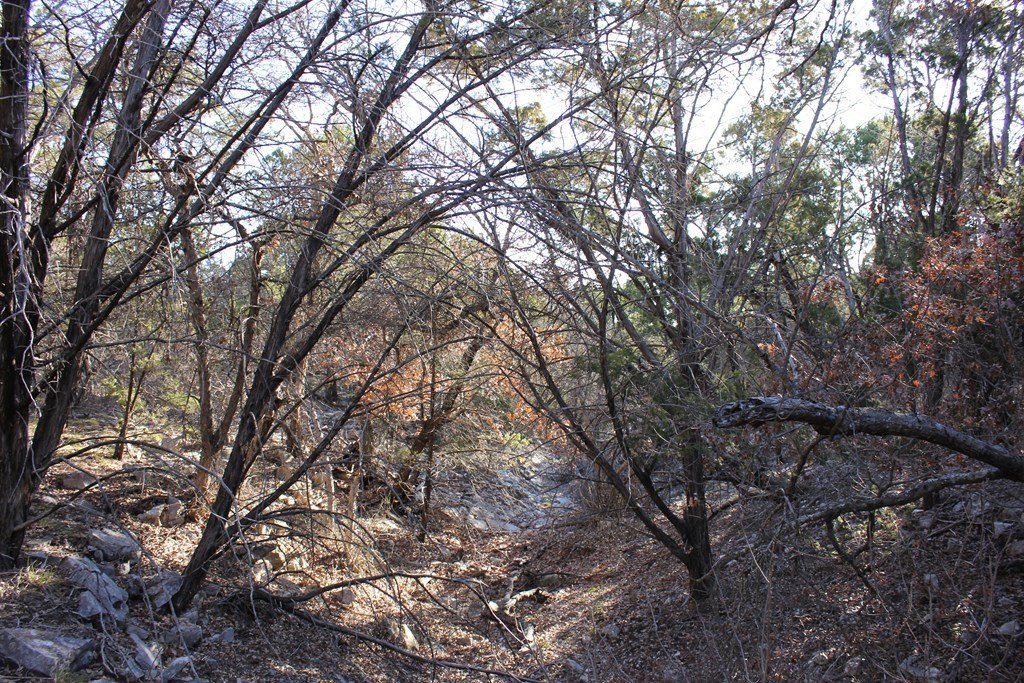 Picture 8