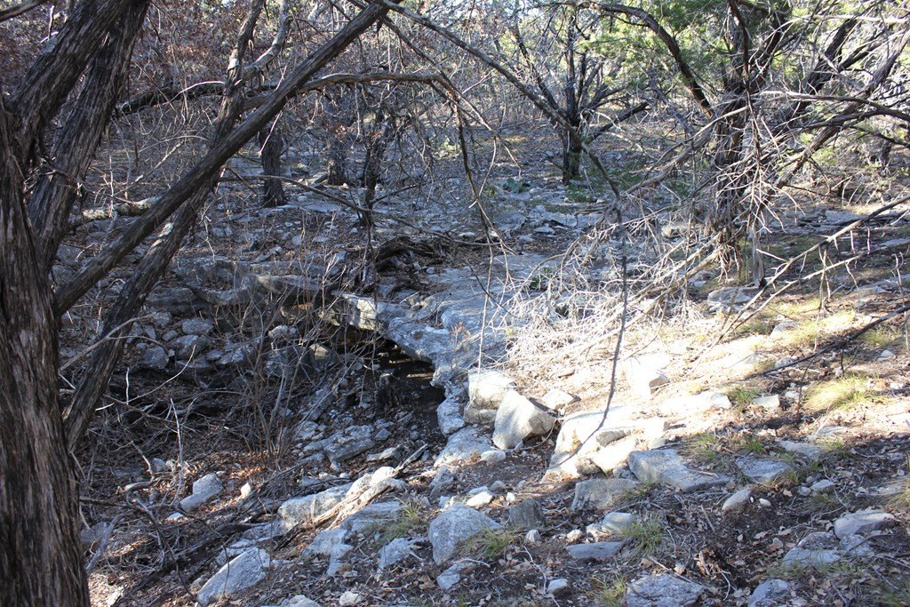 Picture 7