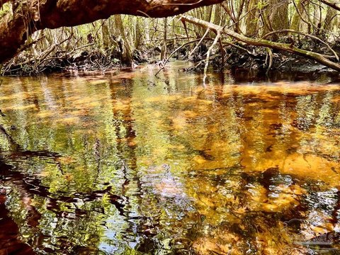 Pristine 10-Acre Homesite in NatureWalk