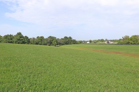Land, Finchville, KY