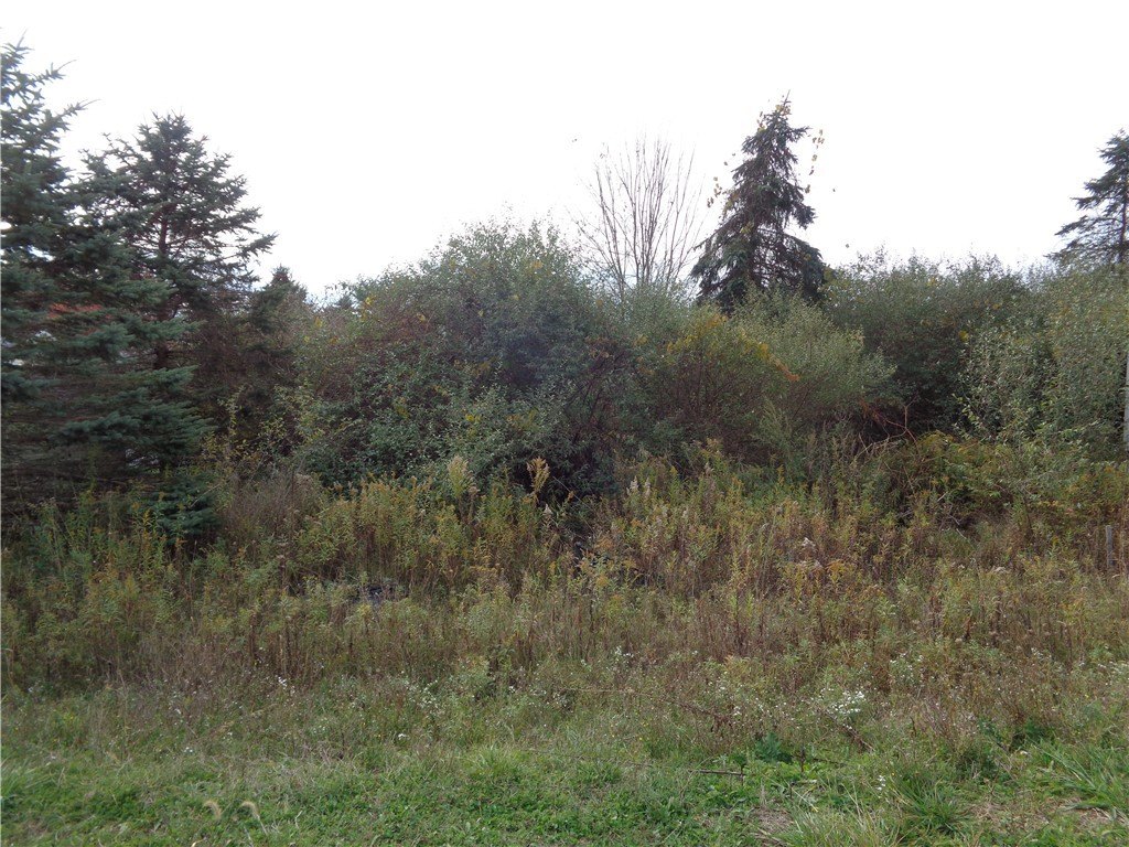 Residential Land in Painted Post