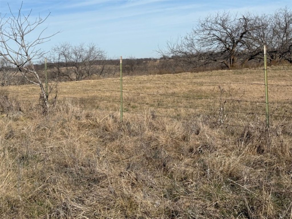 Picture 13