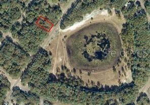 OCKLAWAHA, FL Land For Sale