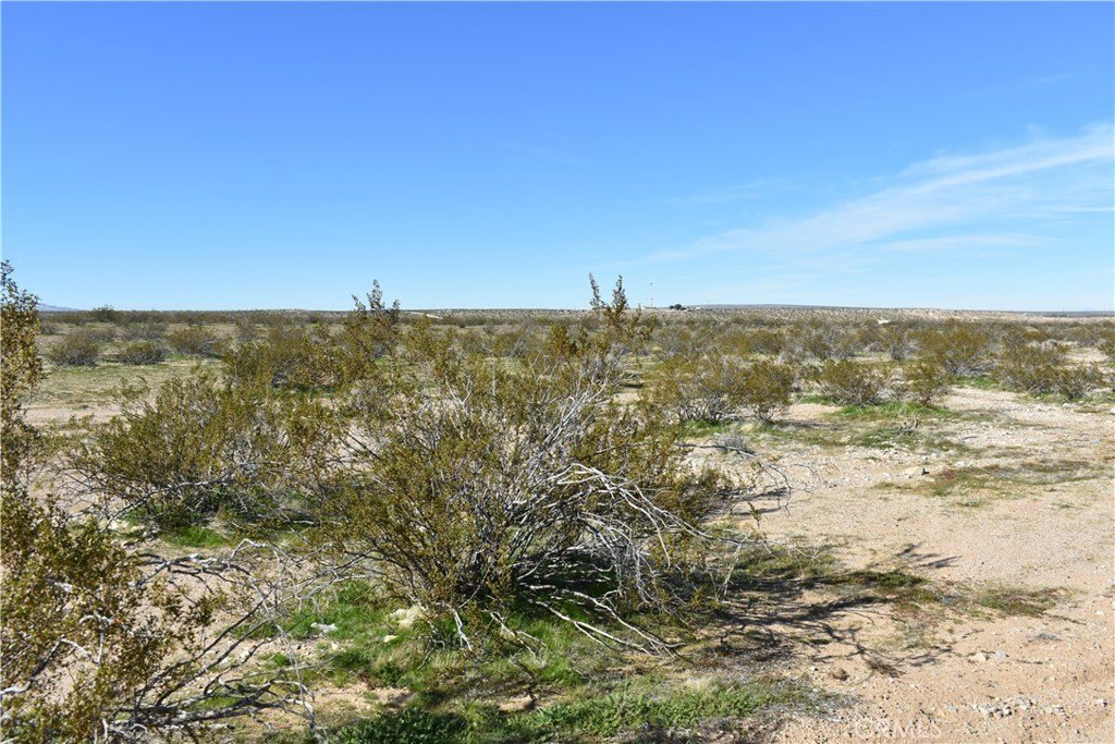 Picture 8