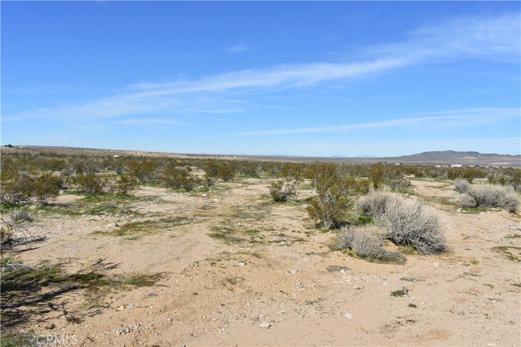 Picture 11