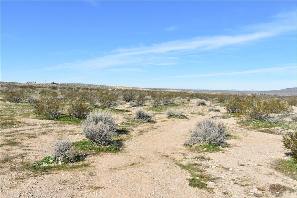 Picture 22