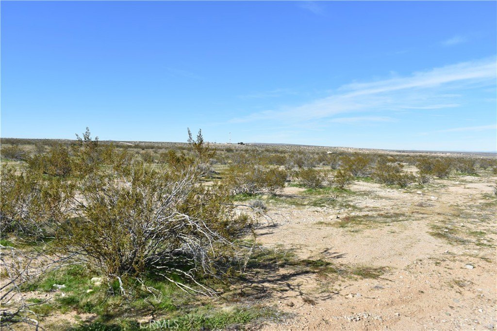 Picture 9