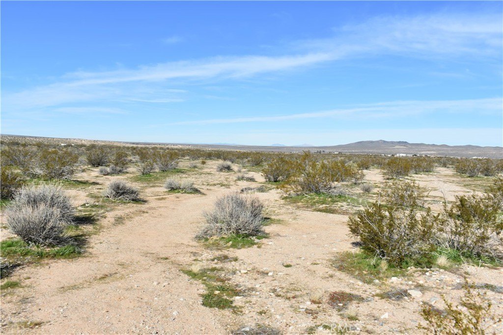 Picture 23