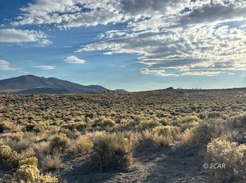 Ryndon, NV