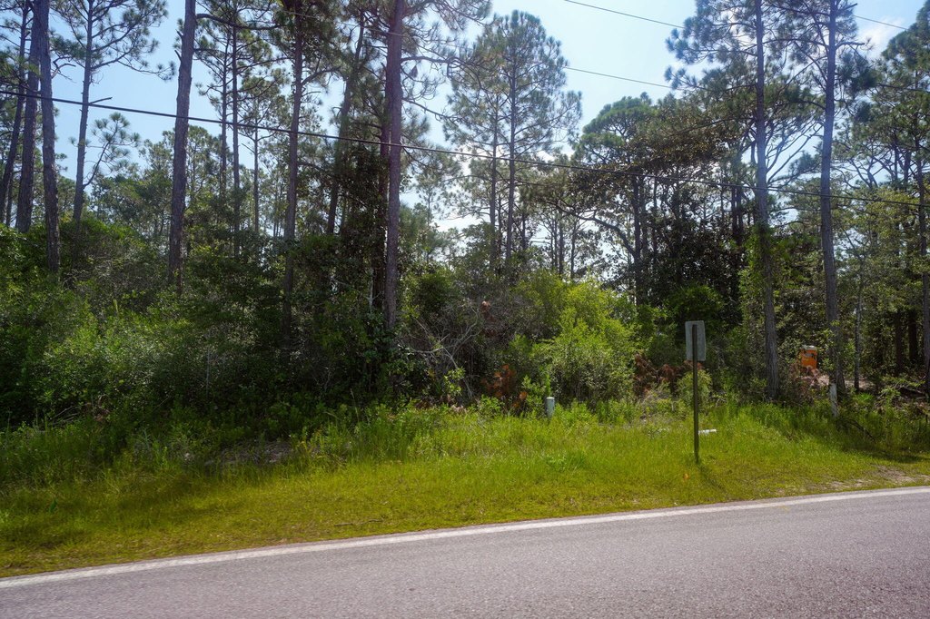 Picture 6