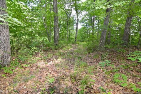 Waterbury Land For Sale