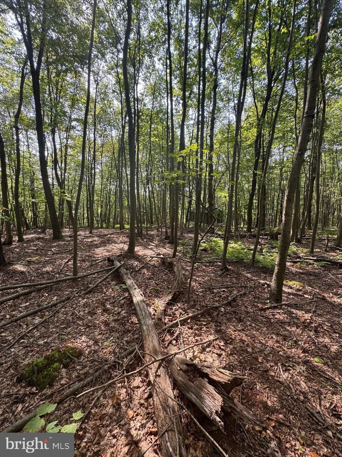 Land Near Raystown Lake