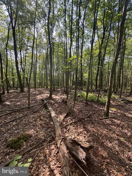 Land Near Raystown Lake