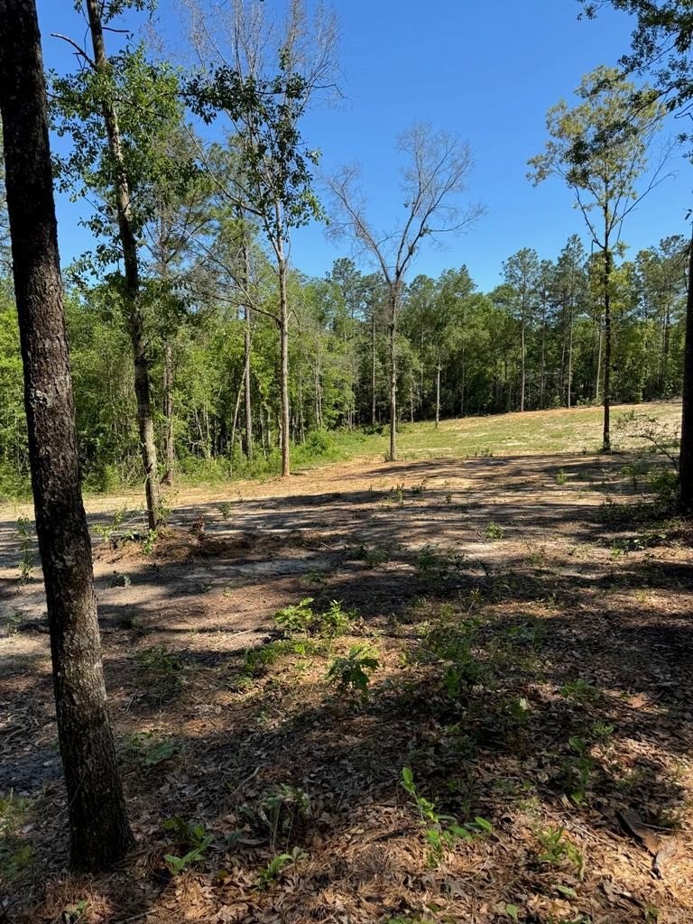 Carriere Homesite in Anchor Lake