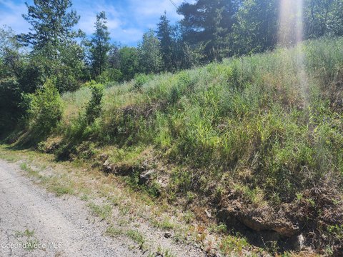 Residential Lot in Kellogg, ID