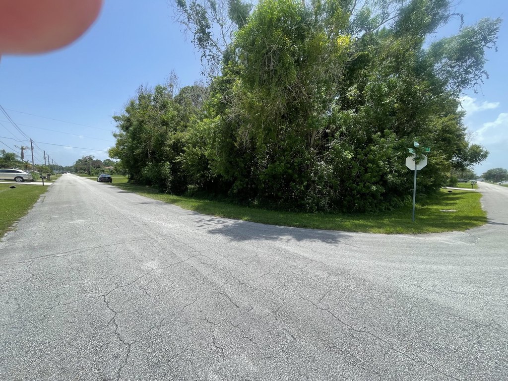 Picture 2