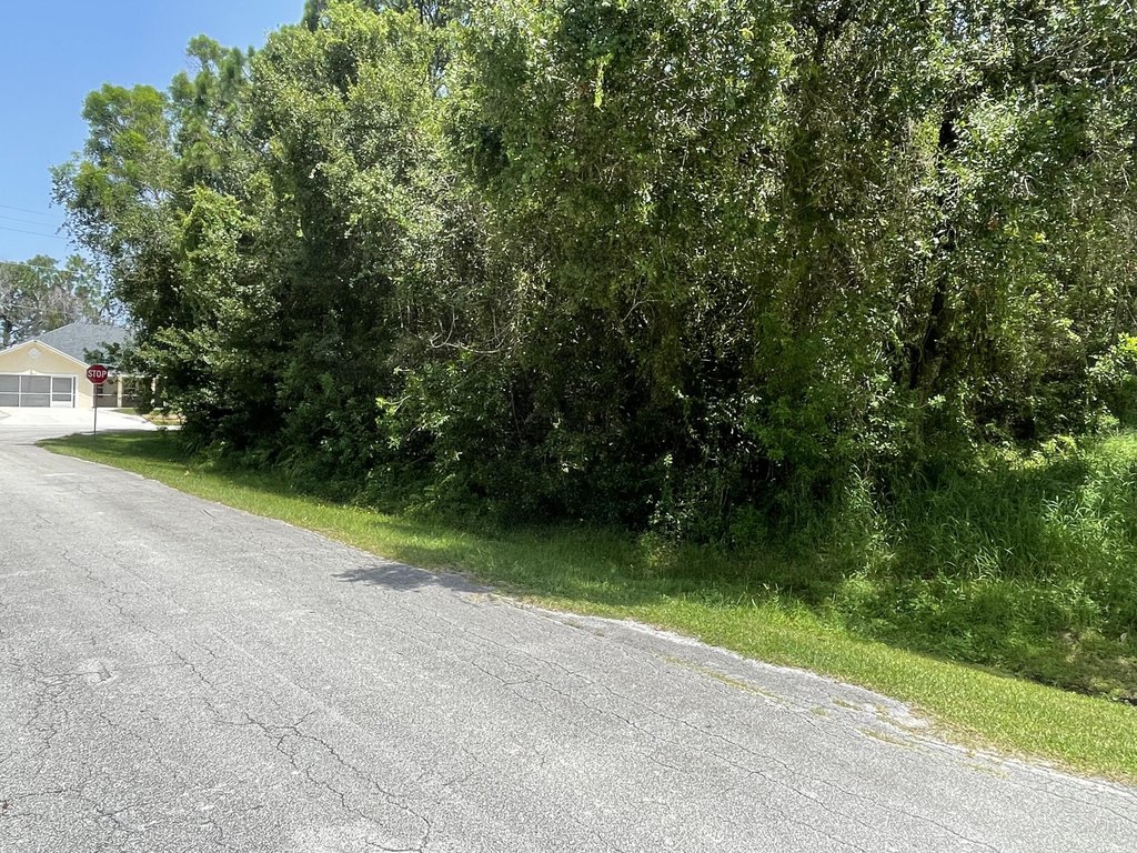 Picture 5