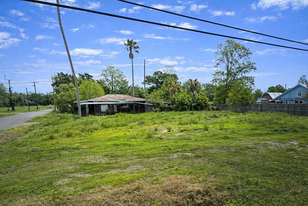 Picture 5