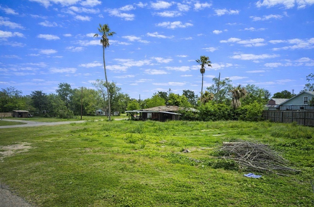 Picture 6
