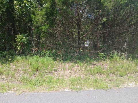 Land, Briarcliff, AR
