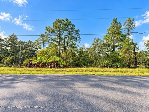 Land, Brooksville, FL