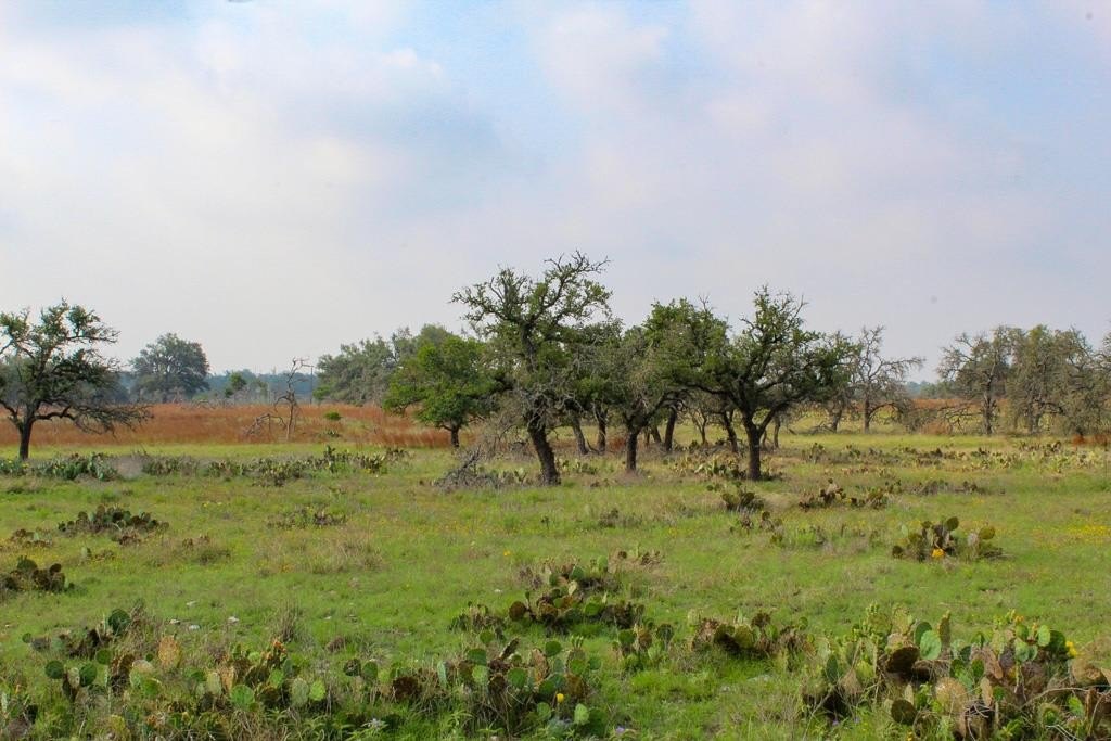 Land For Sale in Harper, TX