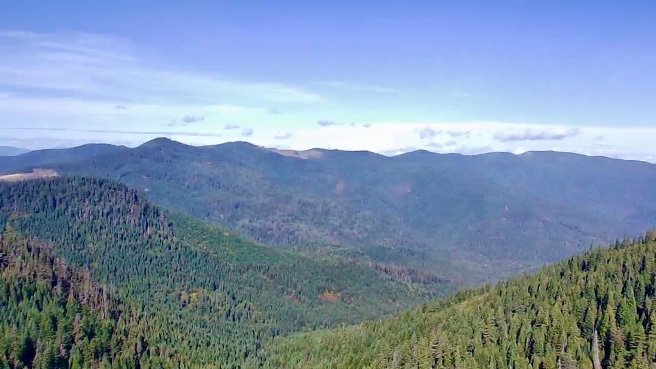 Secluded Acreage Surrounded by Forest