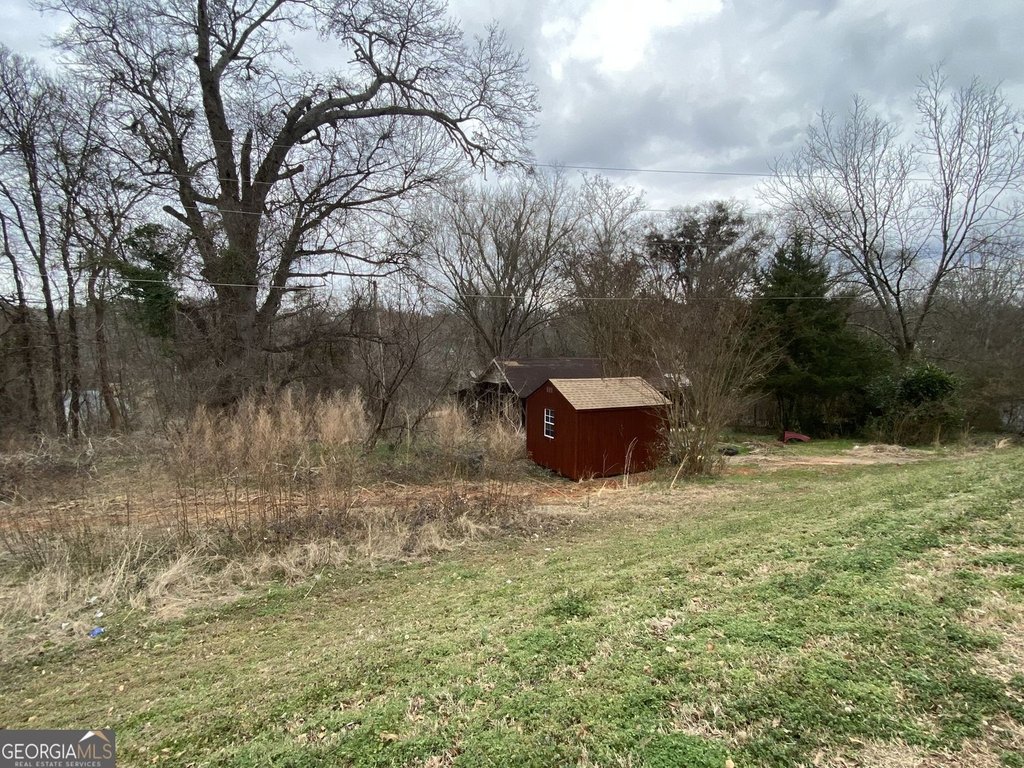 Picture 5