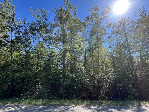 Wooded Recreation Lot in Harbor Assn