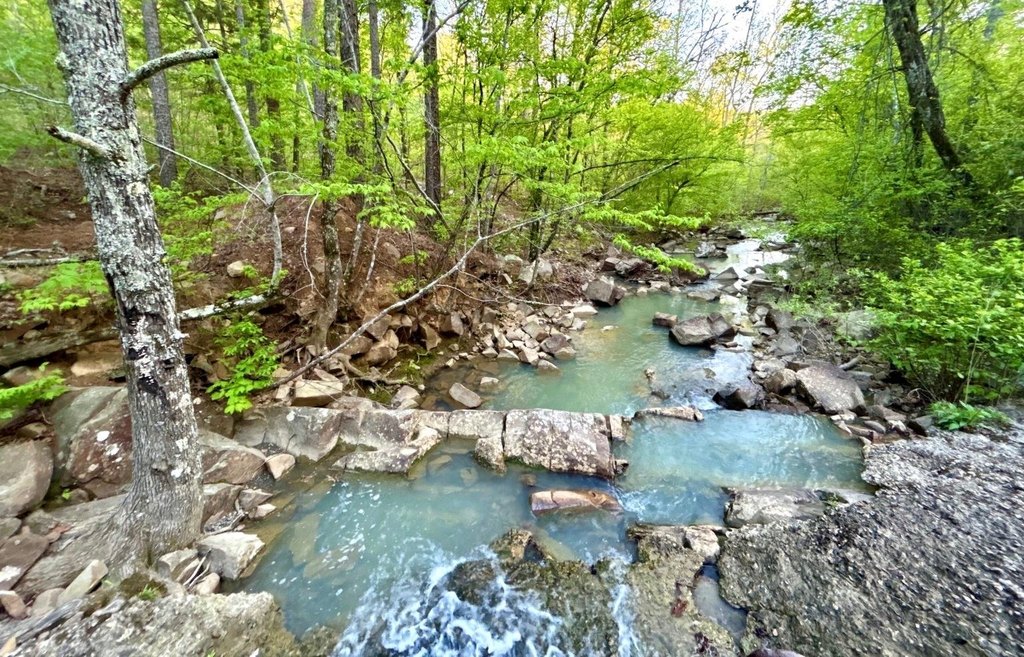 Picture 16