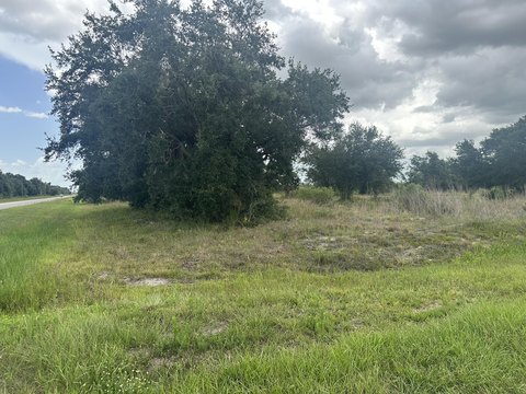 LAND - Okeechobee, FL