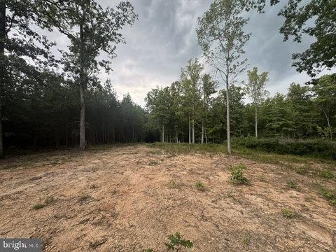 Cleared Lot Ready to Build