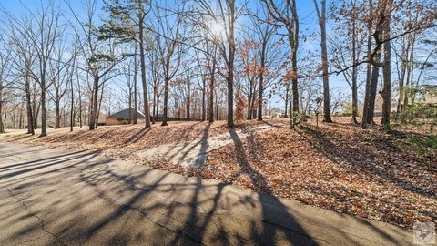 Cleared Lot in Dogwood Community